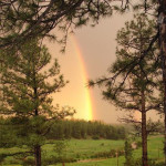 show low arizona rainbow