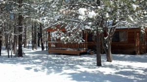 Pinetop Arizona Cabin Rental White Mountain Cabin Rentals